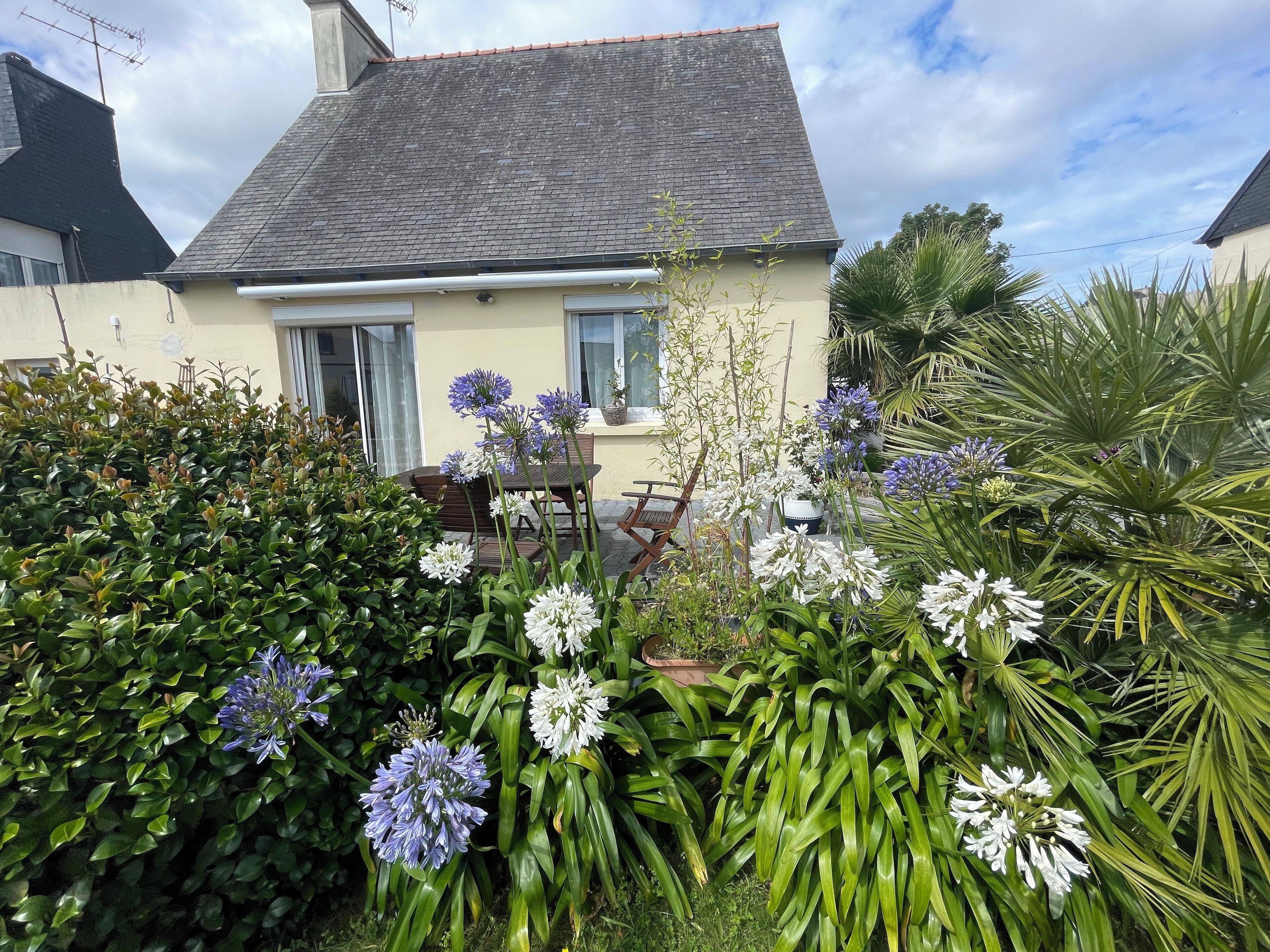 A house with a sloped roof, a front door, and a visible window. There are various plants and flowers in the garden area.