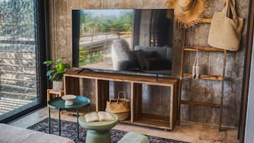 Smart TV, studio