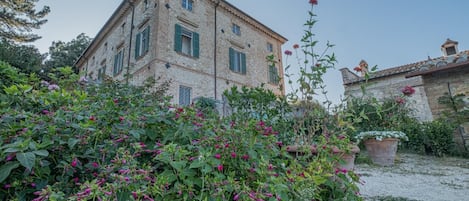 Esterni