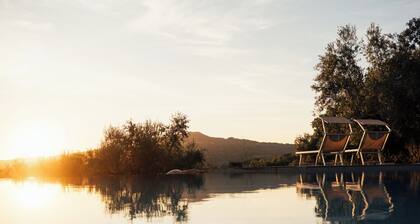 Equipped glamping tent and infinity pool in a Tuscan olive grove