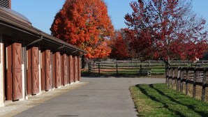 A stable with red doors and a paved path leading to it.