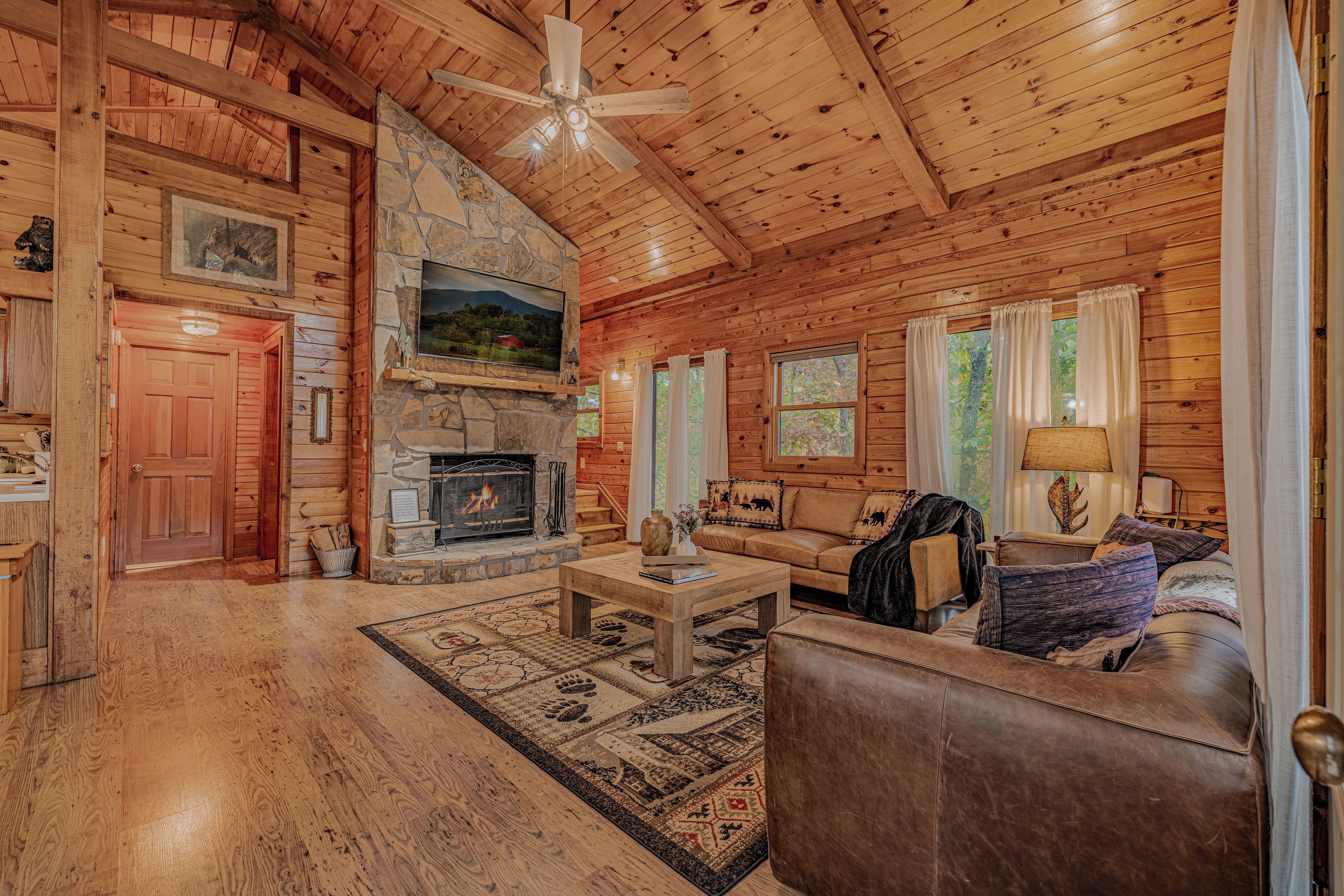 Smart TV, fireplace, video games, books