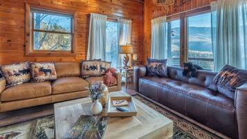 Smart TV, fireplace, video games, books