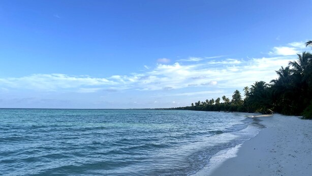 A beach with calm waves, a sandy shore, and a line of palm trees under a clear sky. - Calm Beach Inn (Gan)