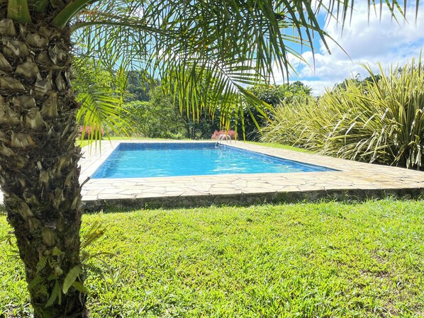 A rectangular swimming pool with a stone border, surrounded by lush green grass and various tropical plants. - Inn with a Pool and Lake (Quatro Barras)