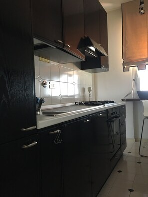 Oven, stovetop, dishwasher