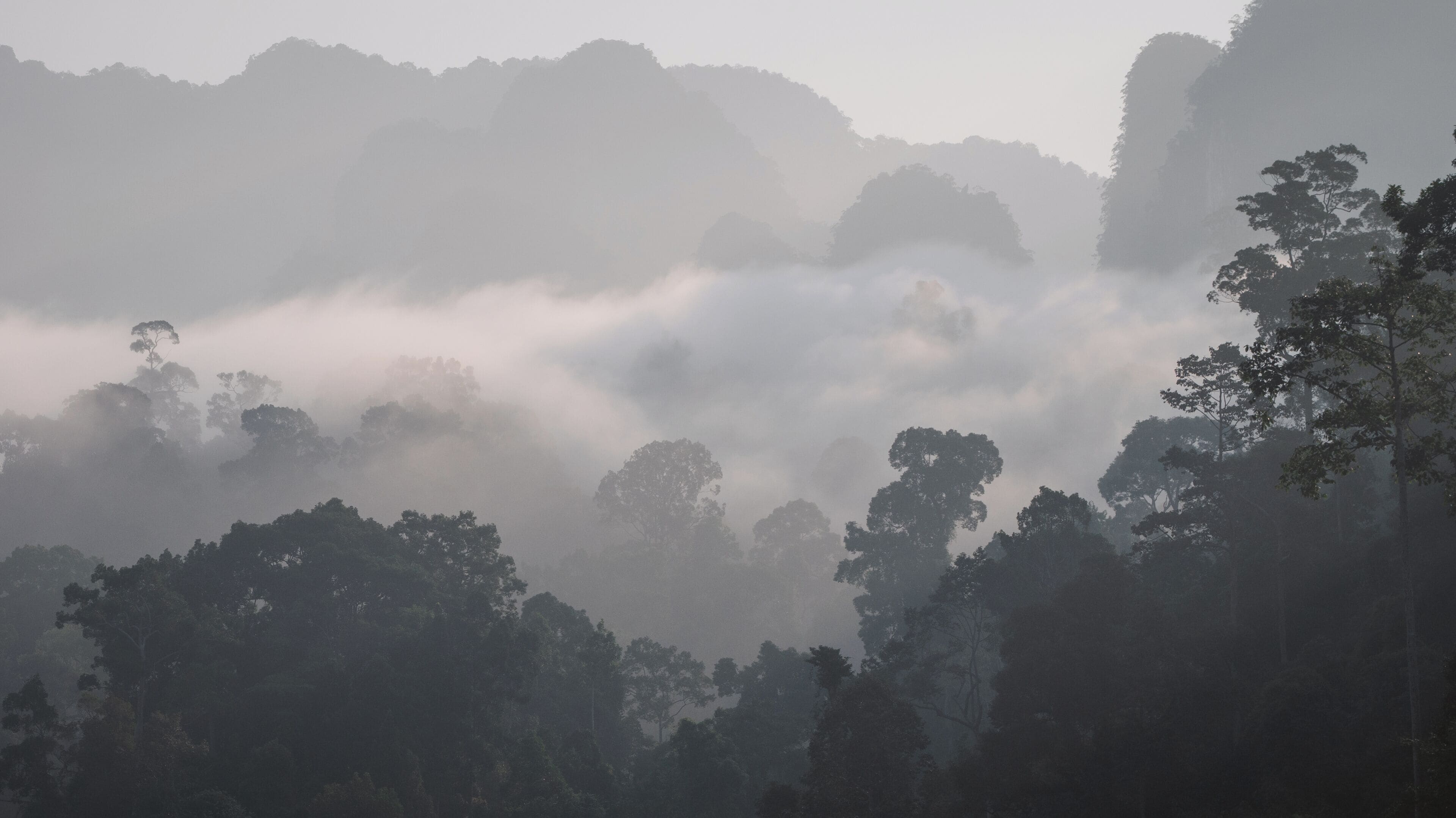 บริเวณภายนอก