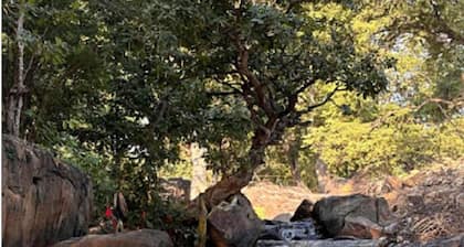 Manohar farm stay | Boating | Fishing | Oil Massage | Fire Camp