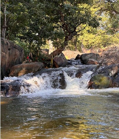 Manohar farm stay | Boating | Fishing | Oil Massage | Fire Camp