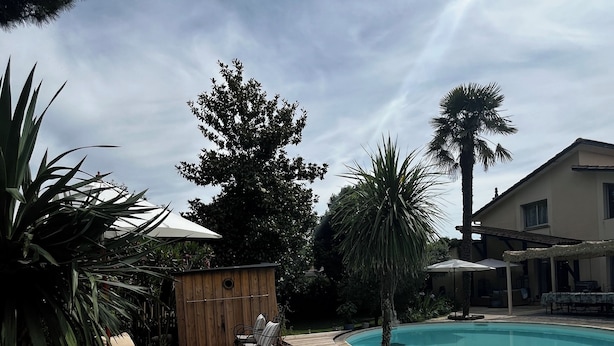 Piscina com deck de madeira e espreguiçadeiras, cercada por plantas tropicais e uma casa ao fundo.