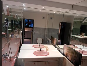 Hair dryer, towels, soap, toilet paper - Le Princier in Colomiers : Your haven of peace (Colomiers)