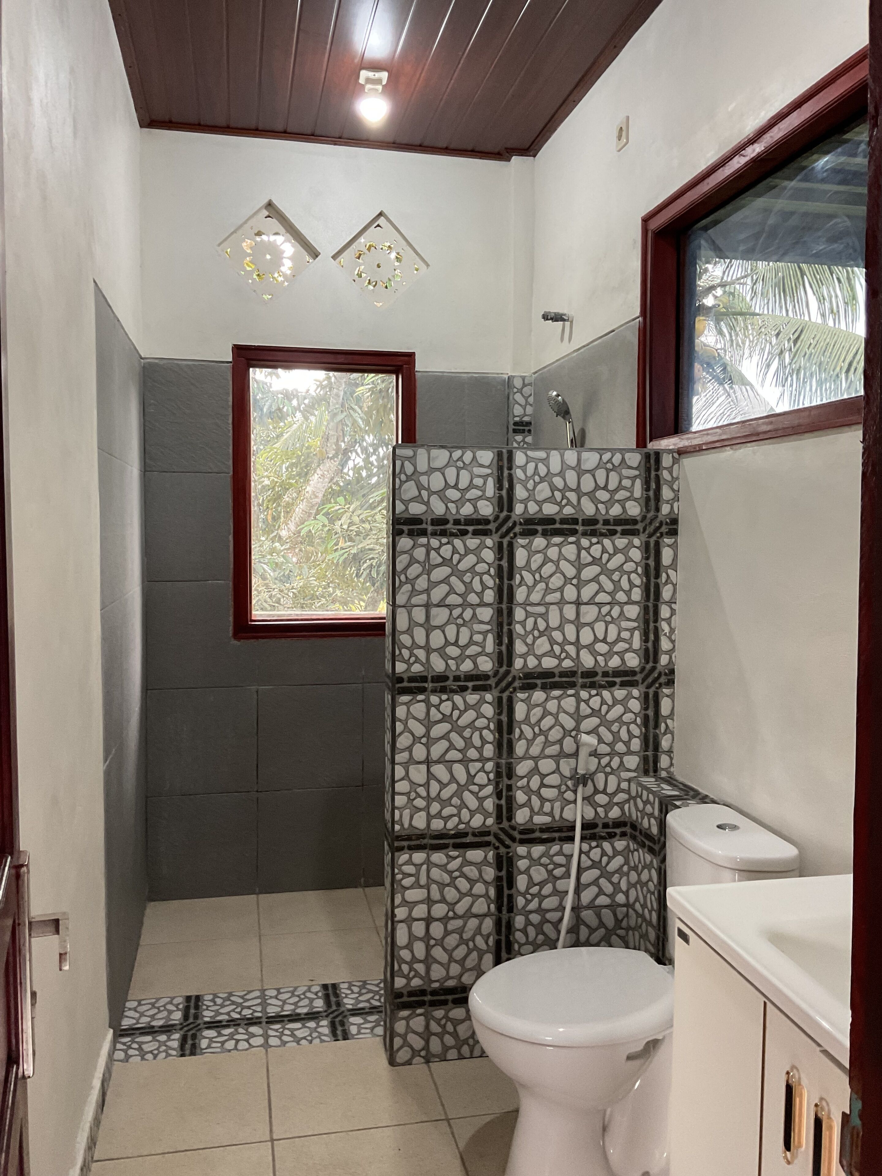 Shower, towels, toilet paper