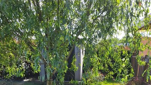 A residential garden with a lawn, a tree, and a white car parked on the grass. - La bretagne ça gagne vous!! near Vannes Sarzeau STgildas de ruys (Surzur)
