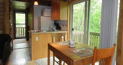 Tiny Treehouse Cabin Retreat, Riverside, Adults Only, No Pets, Peace and Quiet!