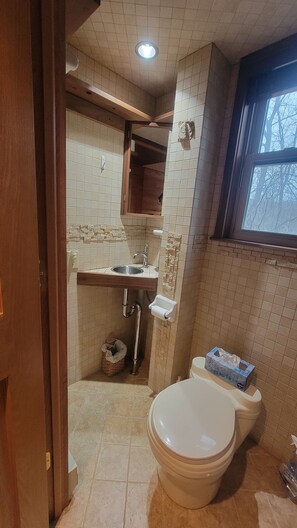 Shower, towels, soap, toilet paper
