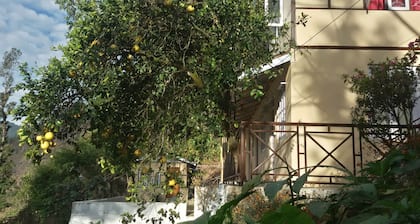 Oak Valley Retreat – A Cozy Homestay, Lively Hostel & Vibrant Café in the Hills!