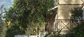Oak Valley Retreat – A Cozy Homestay, Lively Hostel & Vibrant Café in the Hills!