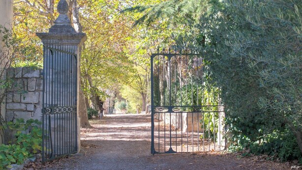 Una entrada protegida por un muro de piedra y un portón metálico, rodeada de árboles y follaje.