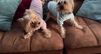 Dog lover’s retreat with acres to roam, farm animals, and plenty to explore!