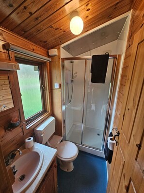 A compact wooden cabin bathroom with a toilet, sink, and glass-enclosed shower.