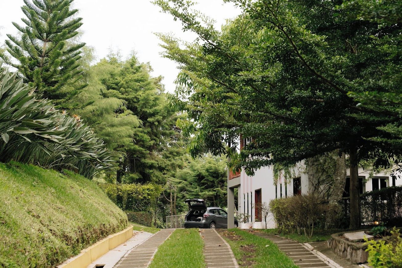 A residential driveway with a parked car, a house with a white facade, and a lush green landscape.