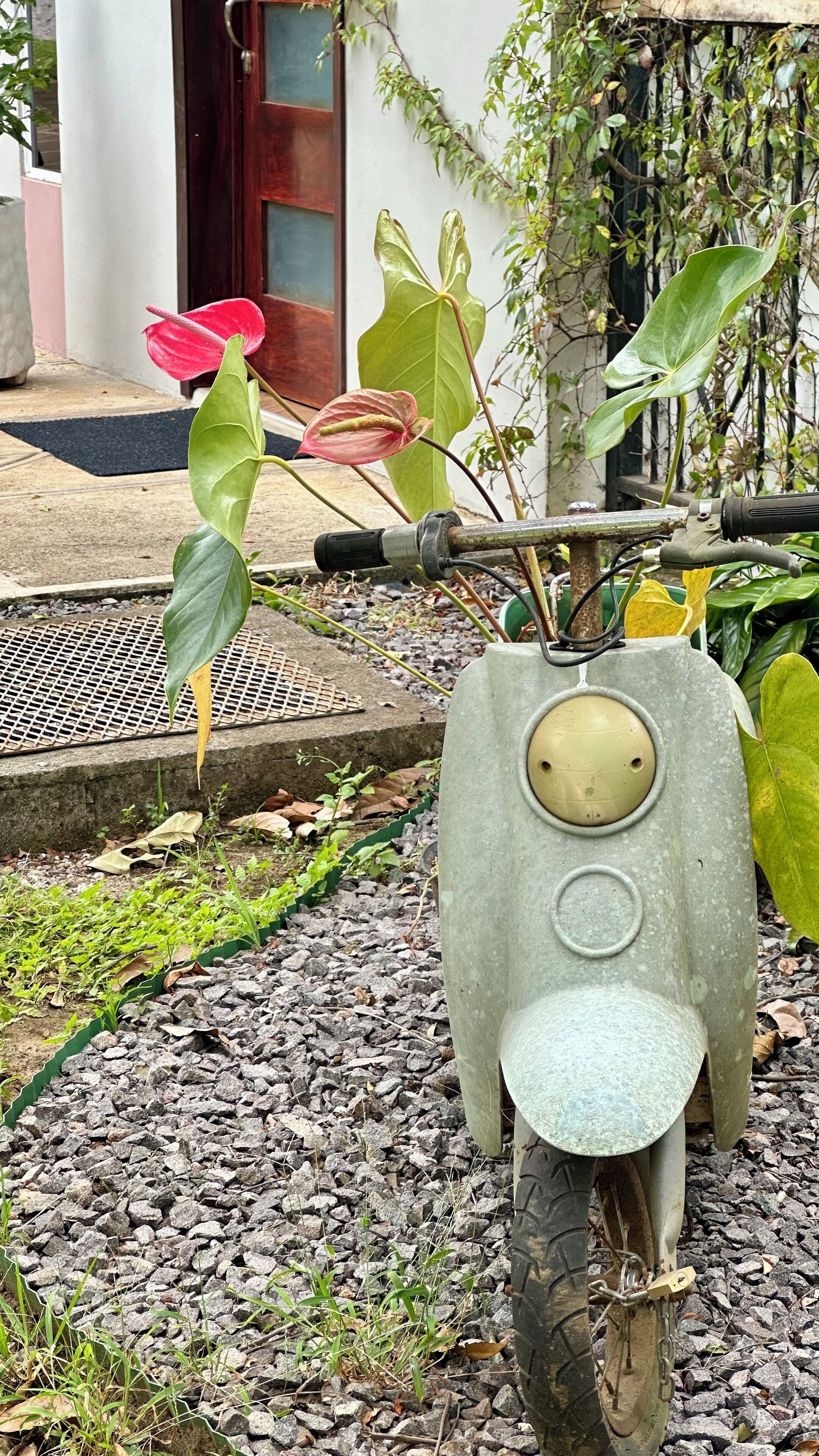 Ngoại thất