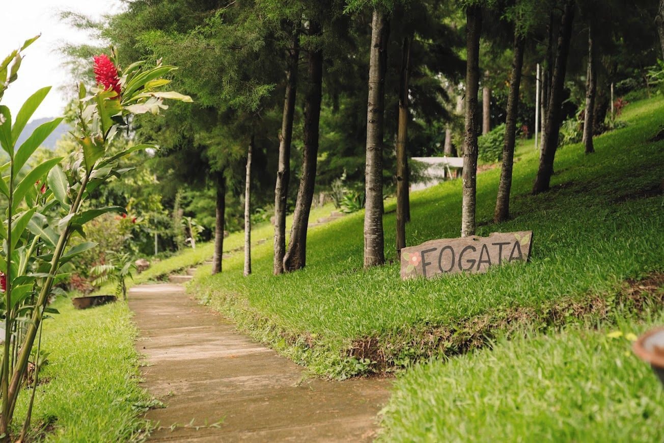 Un sendero con un cartel que dice 'FOGATA', rodeado de follaje y árboles.