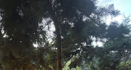 La Villa de los Alas