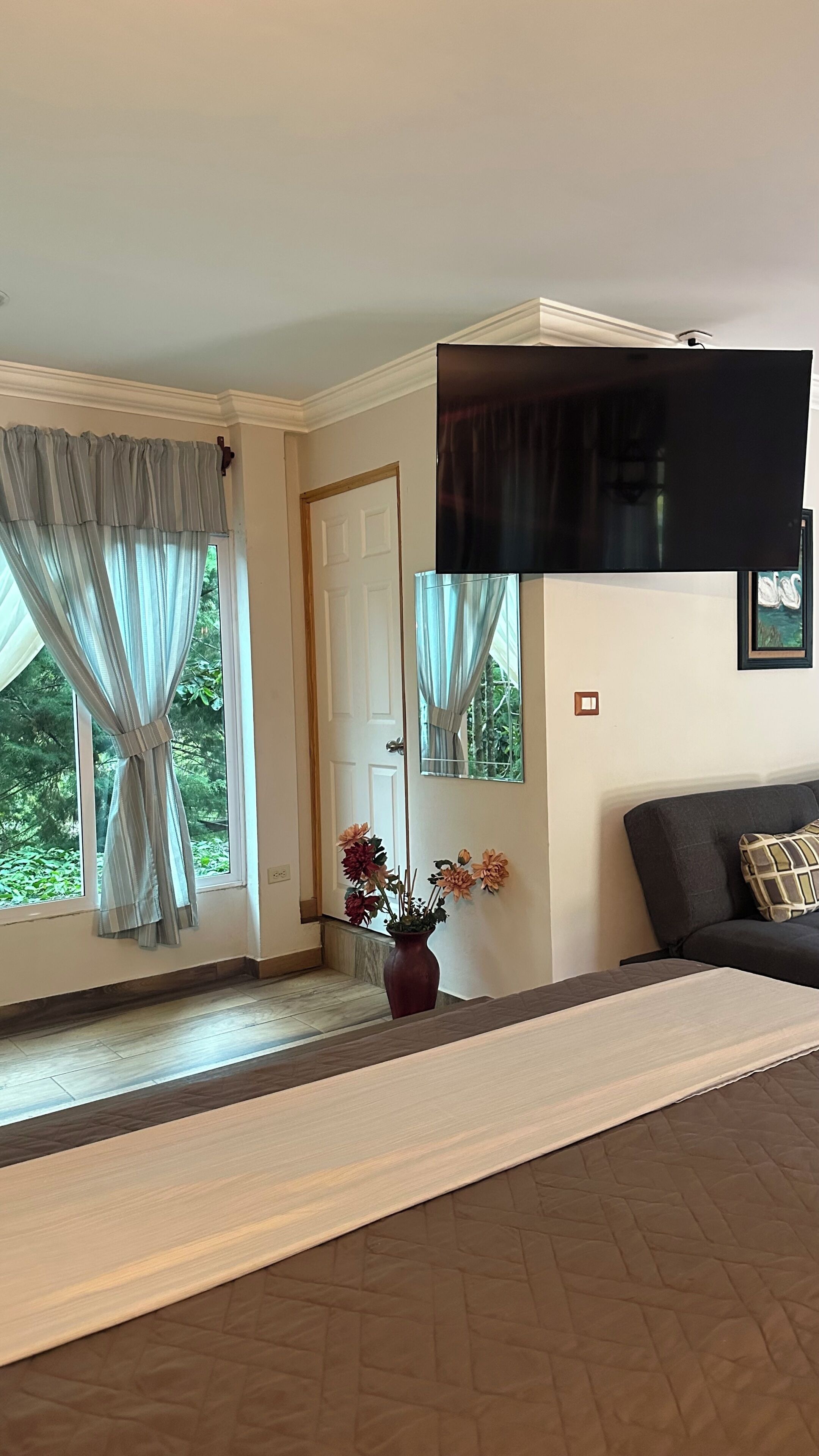 Quarto com uma janela grande, televisão de tela plana na parede, sofá de cor escura e um vaso com flores no chão.