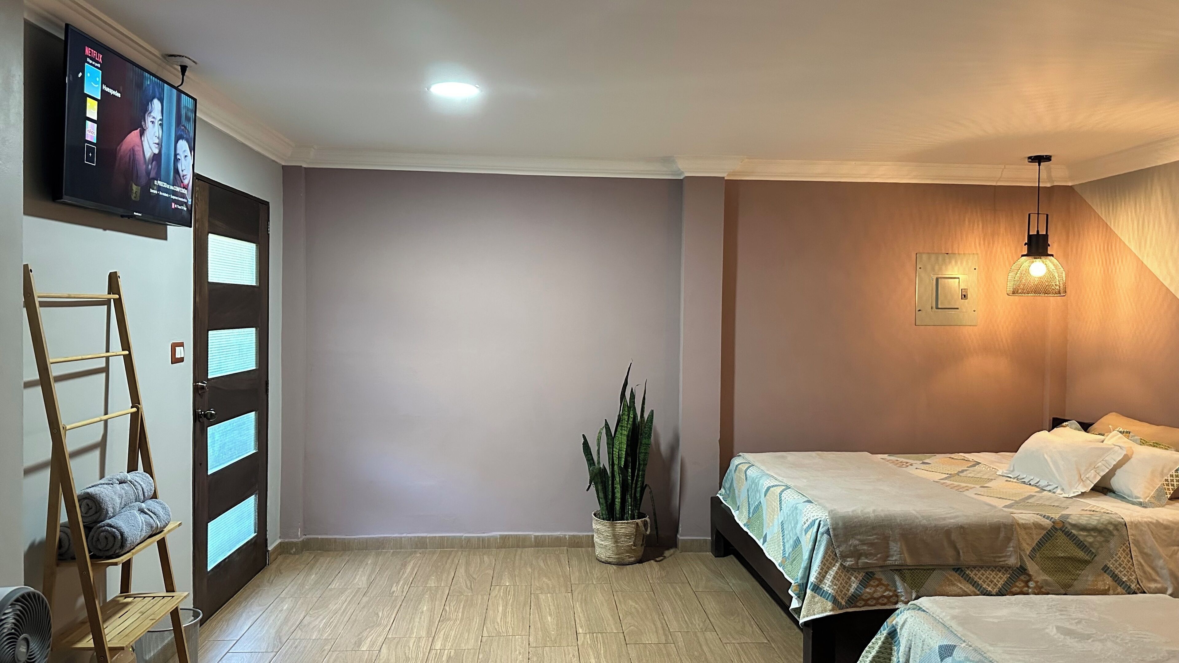 Een slaapkamer met een bed, een kamerplant, een aan de muur bevestigde televisie en een ladder tegen de muur.