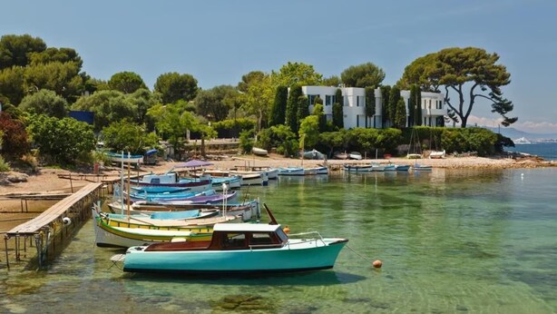 A marina with boats docked, a wooden pier, and a building with trees in the background. - Superb 3 P with balcony view near beach (Antibes)