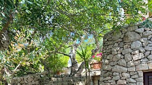 Uma escadaria de pedra leva a um edifício com uma janela, cercado por vegetação e plantas em vasos.