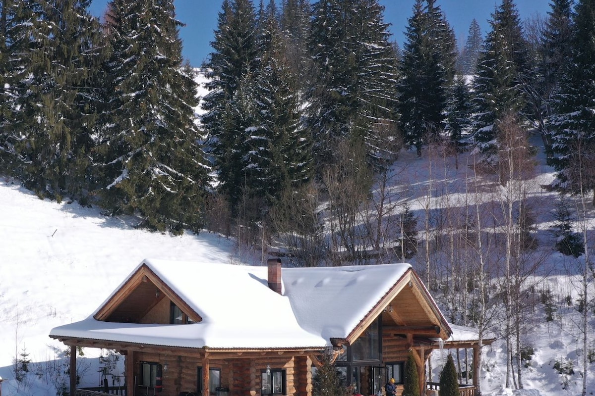 A wooden cabin with a snow-covered roof, surrounded by trees and a snowy landscape.