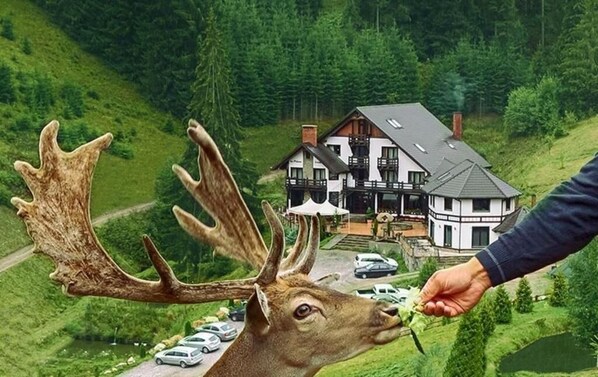 Ulkopuoli