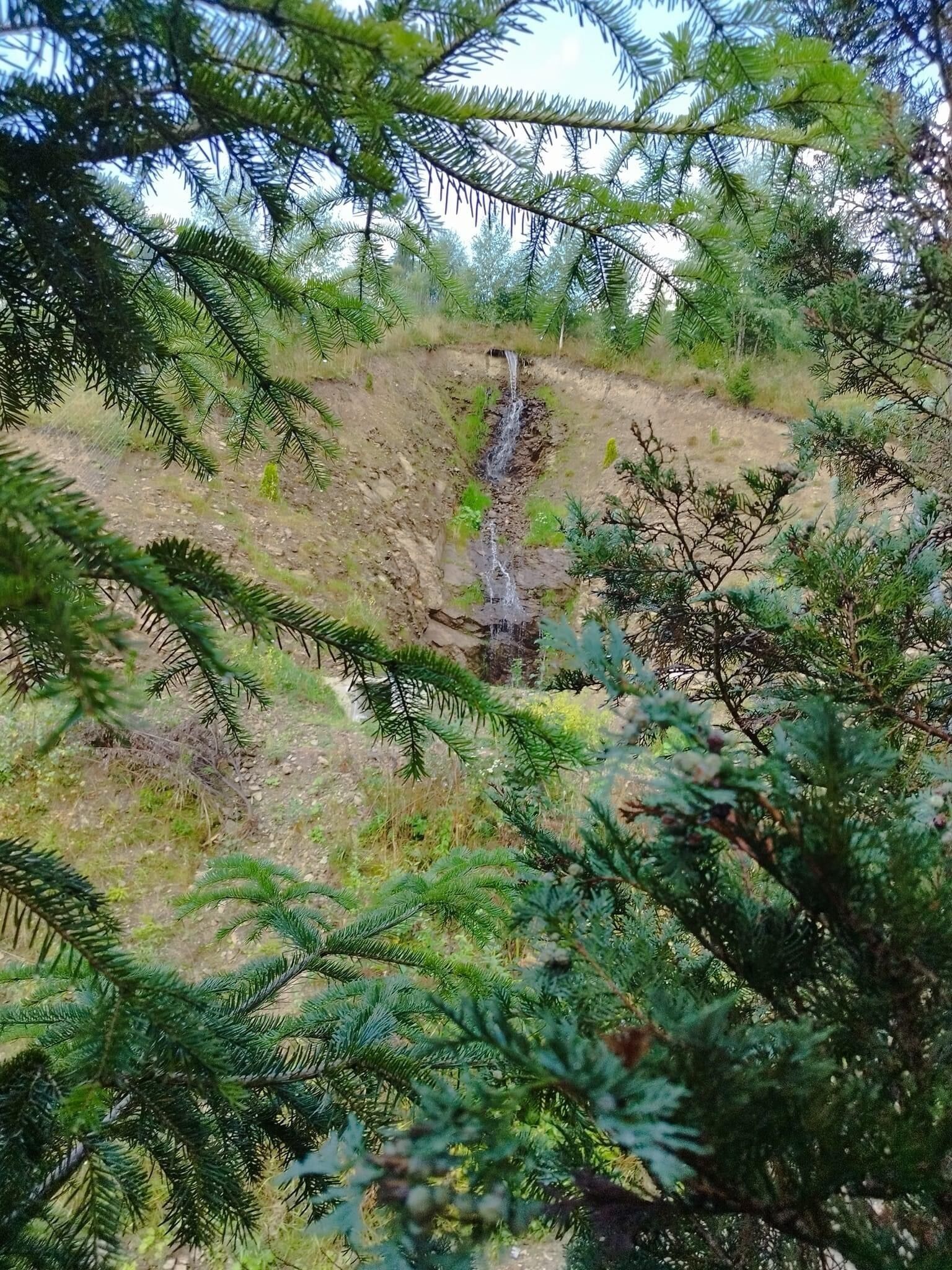 Un paysage naturel avec une petite cascade et un feuillage verdoyant et luxuriant.