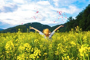 Exterior - Casa rural Mas Garganta (La Vall d'en Bas)