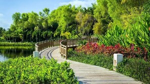 Una pasarela de madera que conduce a un puente sobre un cuerpo de agua, rodeada de vegetación exuberante y plantas tropicales.