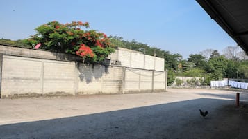 Free self-parking