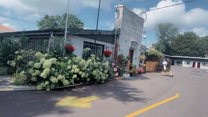 A building with a brick facade, a basketball hoop, and a yellow directional arrow on the street. - crestwoodmotel (Burlington)