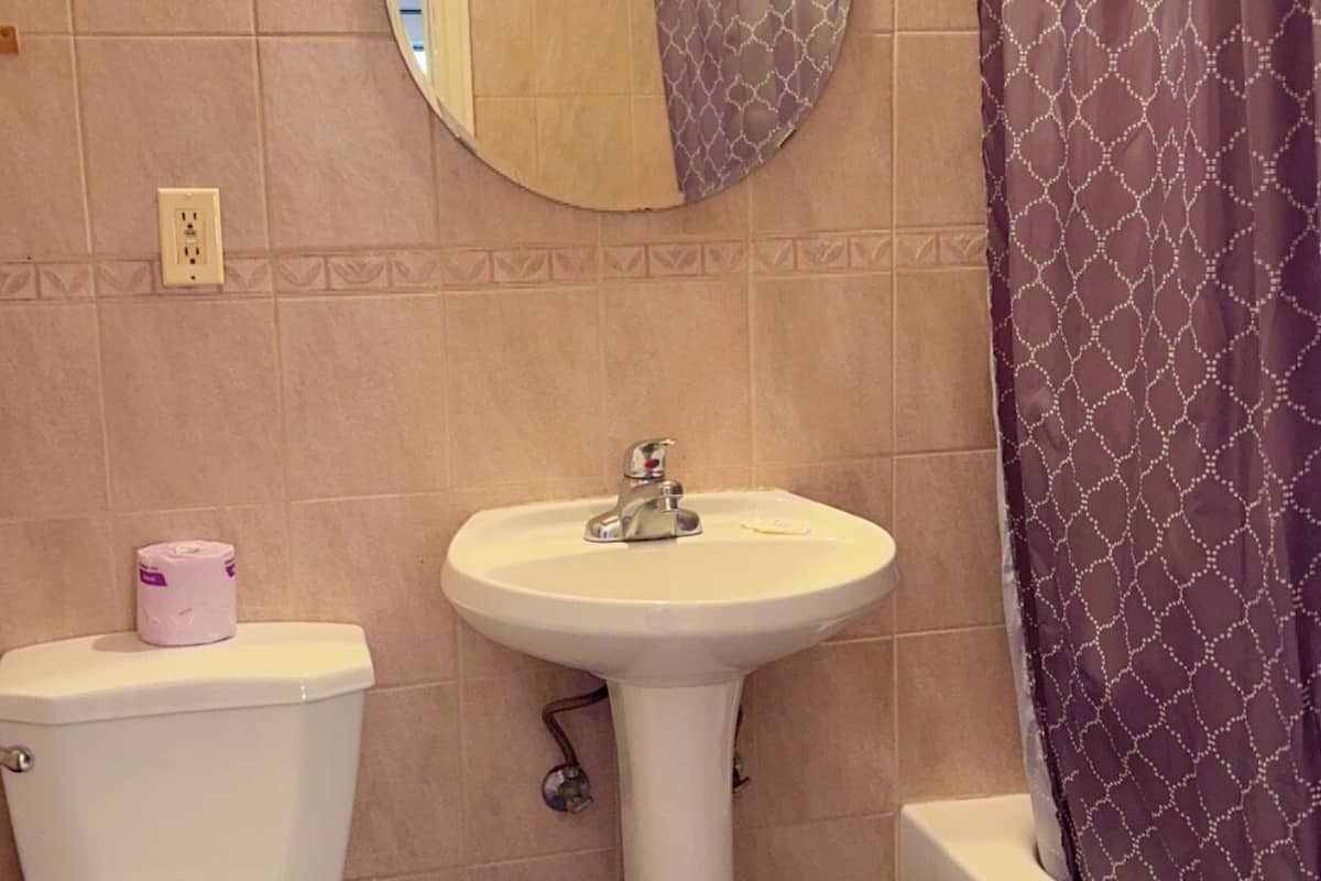 Secador de cabelo, toalhas de banho, sabonete, shampoo
