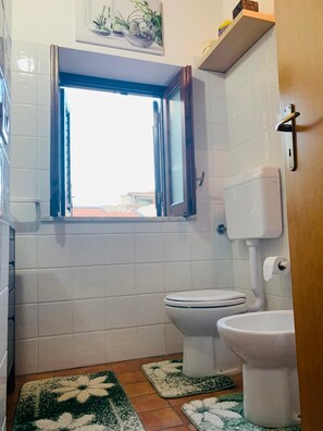 Secador de cabelo, toalhas de banho, sabonete, papel higiênico