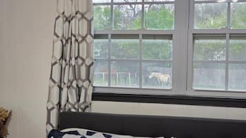 1 chambre, fer et planche Ă repasser, Wi-Fi, draps fournis