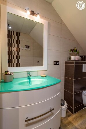 Shower, hair dryer, towels - LE SAINT VICTOR - TREVIGNIN (TREVIGNIN)