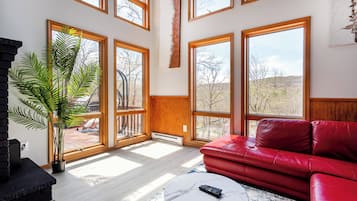 TV connectée, cheminée