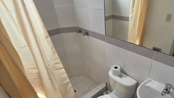 Un baño con ducha, inodoro, lavabo y espejo.