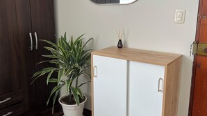 Een kamer met een houten vloer, een wit kastje met een plant erop, een spiegel aan de muur en een donkere garderobe.