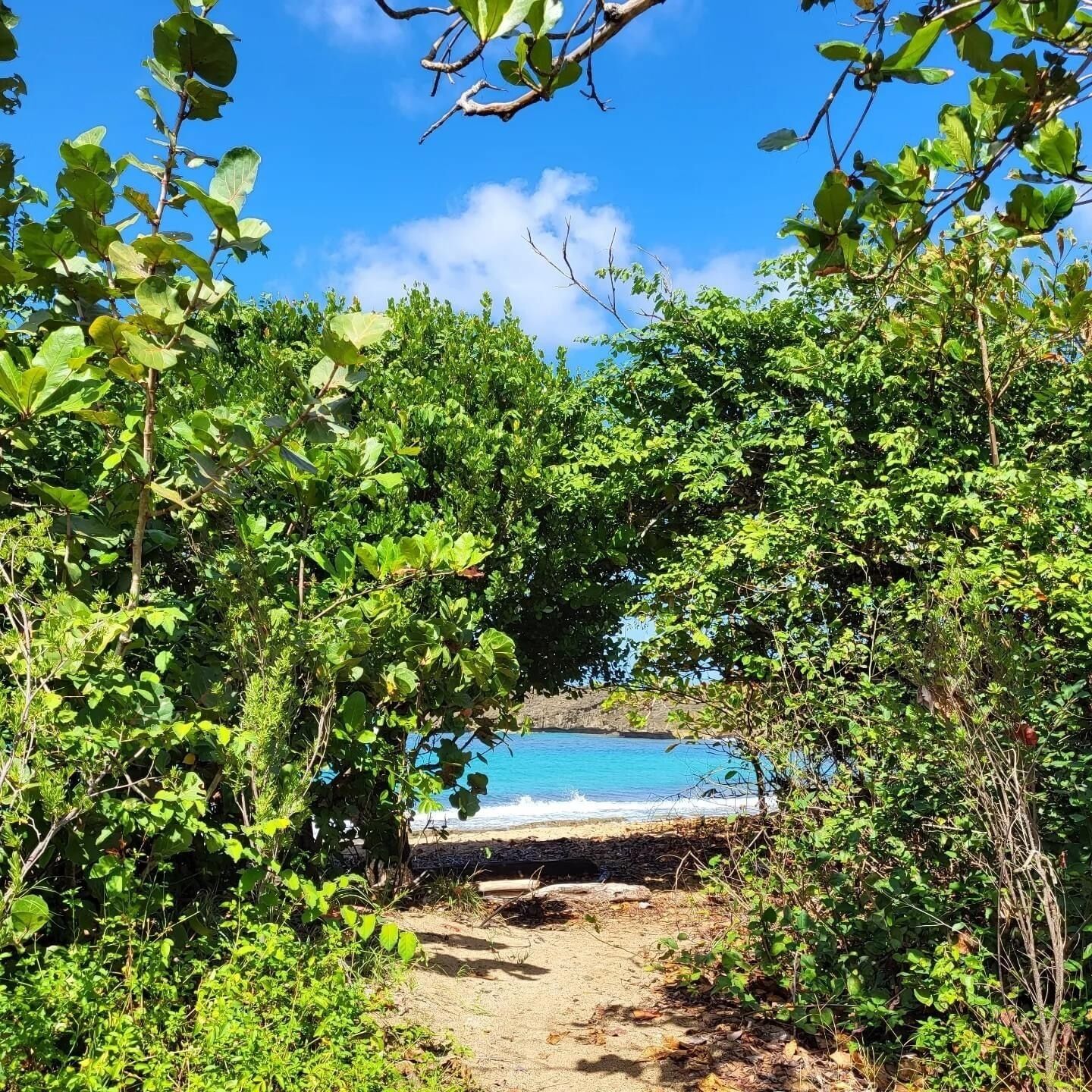 Sun loungers, beach towels