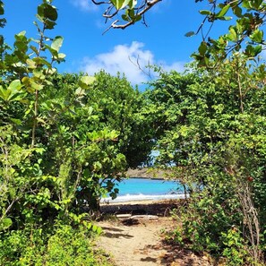 Sun-loungers, beach towels