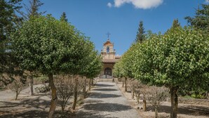 A pathway leading to a building with a bell tower, surrounded by trees.