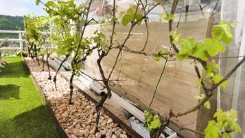 Enceinte de lâhĂ©bergement